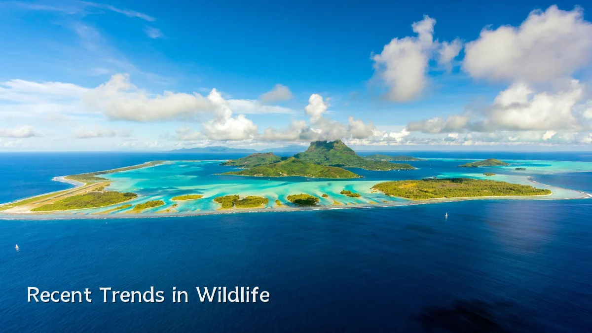 Recent Trends in Wildlife