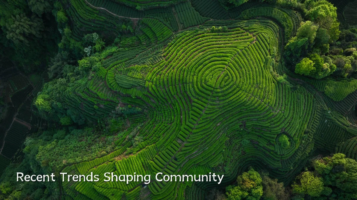 Recent Trends Shaping Community