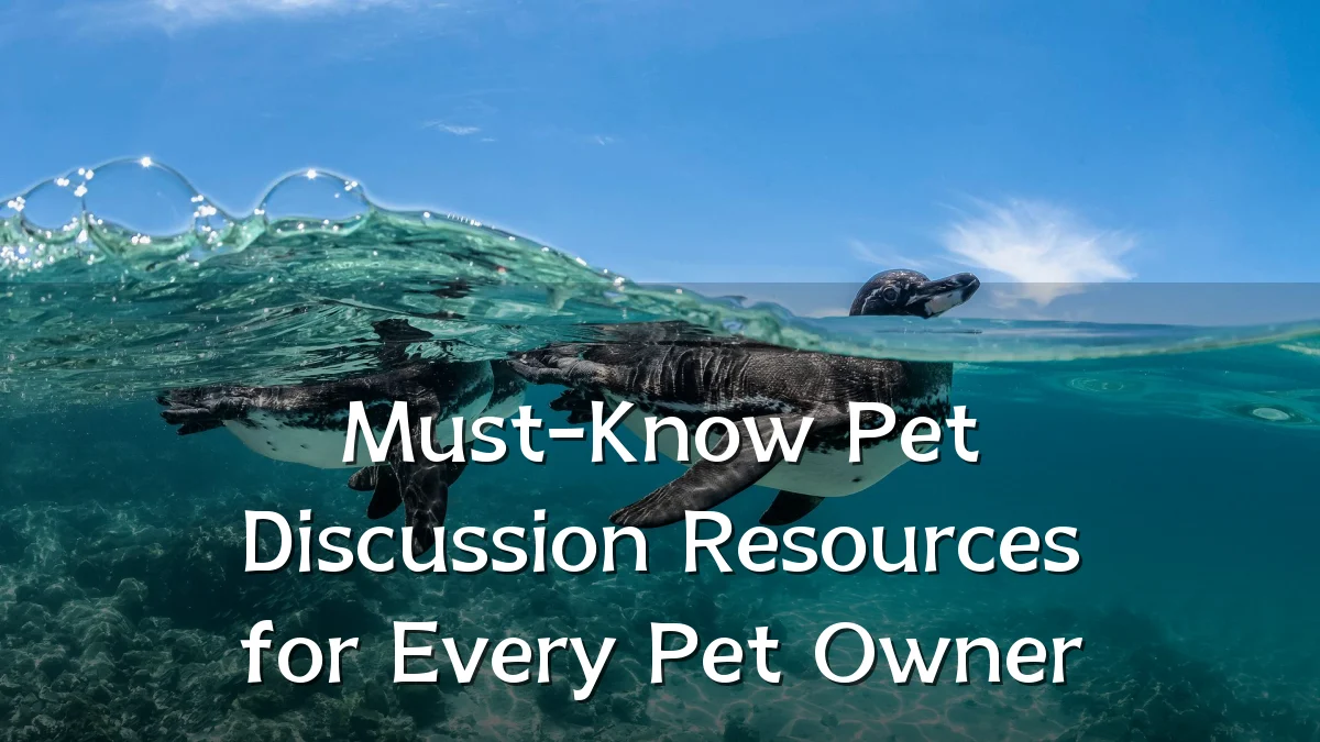 Must-Know Pet Discussion Resources for Every Pet Owner