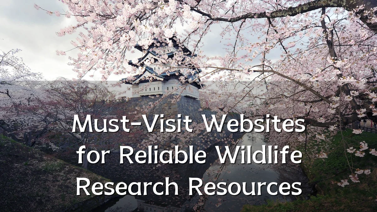Must-Visit Websites for Reliable Wildlife Research Resources