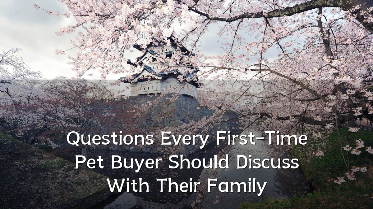 Questions Every First-Time Pet Buyer Should Discuss With Their Family
