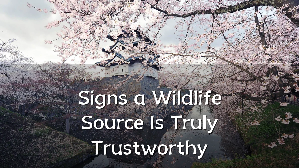Signs a Wildlife Source Is Truly Trustworthy