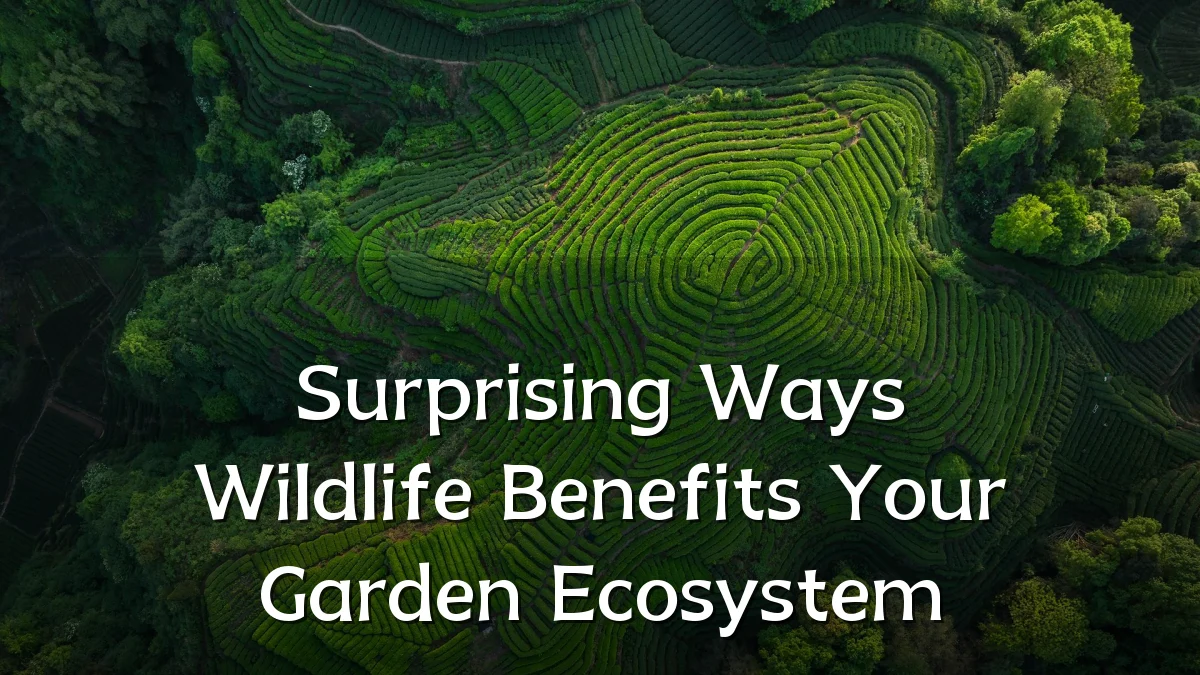 Surprising Ways Wildlife Benefits Your Garden Ecosystem