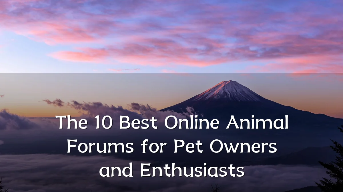 The 10 Best Online Animal Forums for Pet Owners and Enthusiasts
