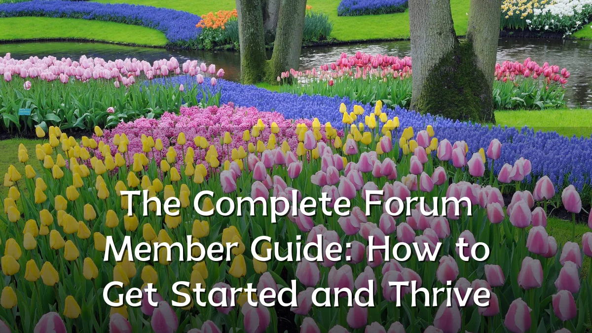 The Complete Forum Member Guide: How to Get Started and Thrive