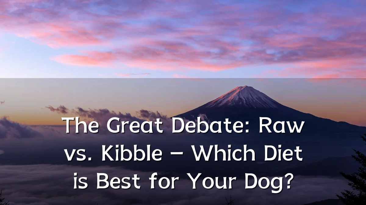 The Great Debate: Raw vs. Kibble – Which Diet is Best for Your Dog?