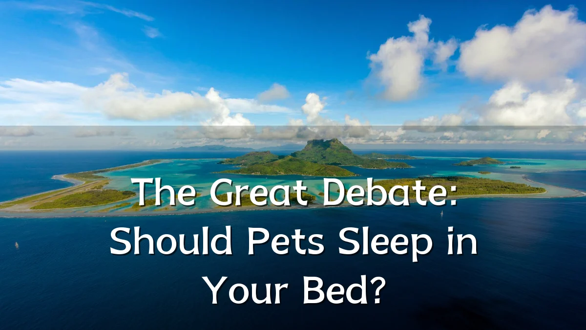 The Great Debate: Should Pets Sleep in Your Bed?