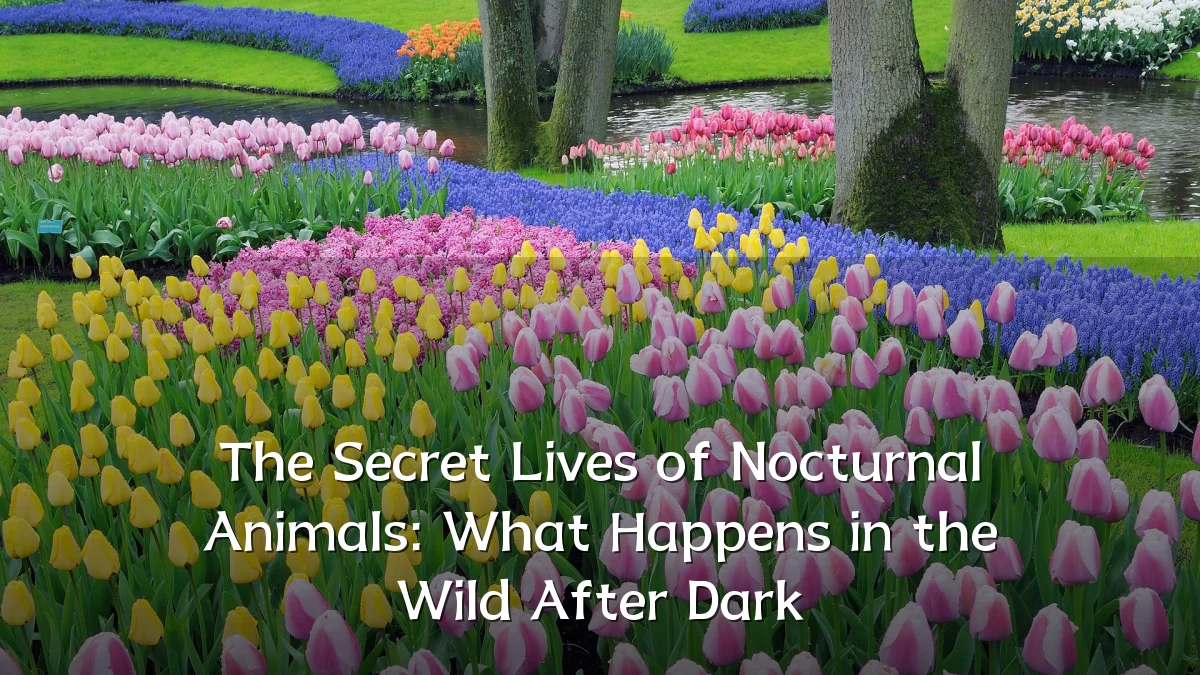 The Secret Lives of Nocturnal Animals: What Happens in the Wild After Dark