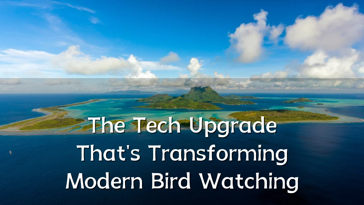 The Tech Upgrade That's Transforming Modern Bird Watching