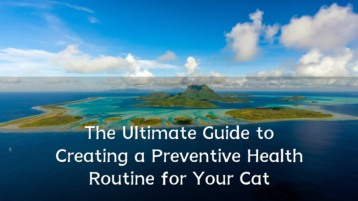 The Ultimate Guide to Creating a Preventive Health Routine for Your Cat
