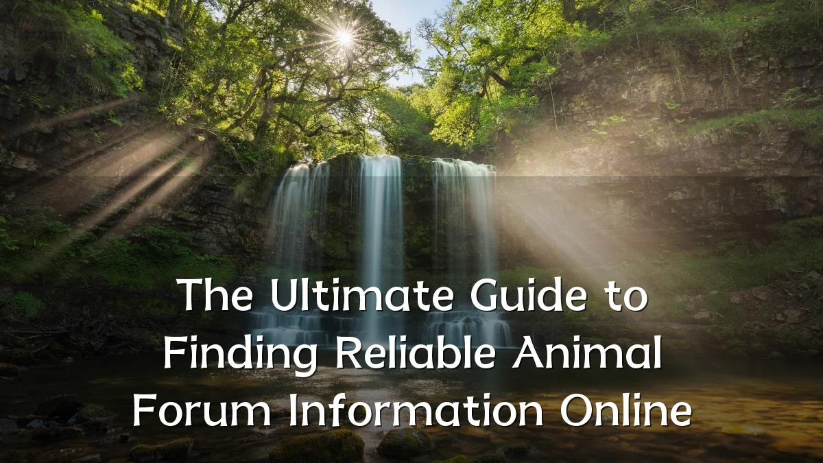The Ultimate Guide to Finding Reliable Animal Forum Information Online