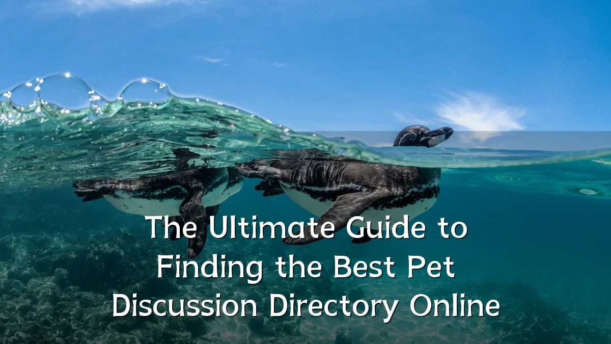 The Ultimate Guide to Finding the Best Pet Discussion Directory Online