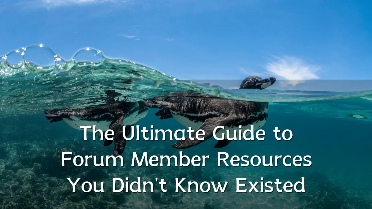 The Ultimate Guide to Forum Member Resources You Didn't Know Existed