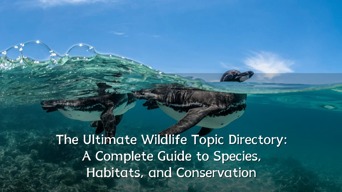 The Ultimate Wildlife Topic Directory: A Complete Guide to Species, Habitats, and Conservation
