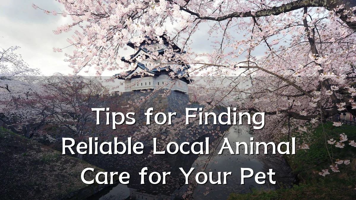 Tips for Finding Reliable Local Animal Care for Your Pet