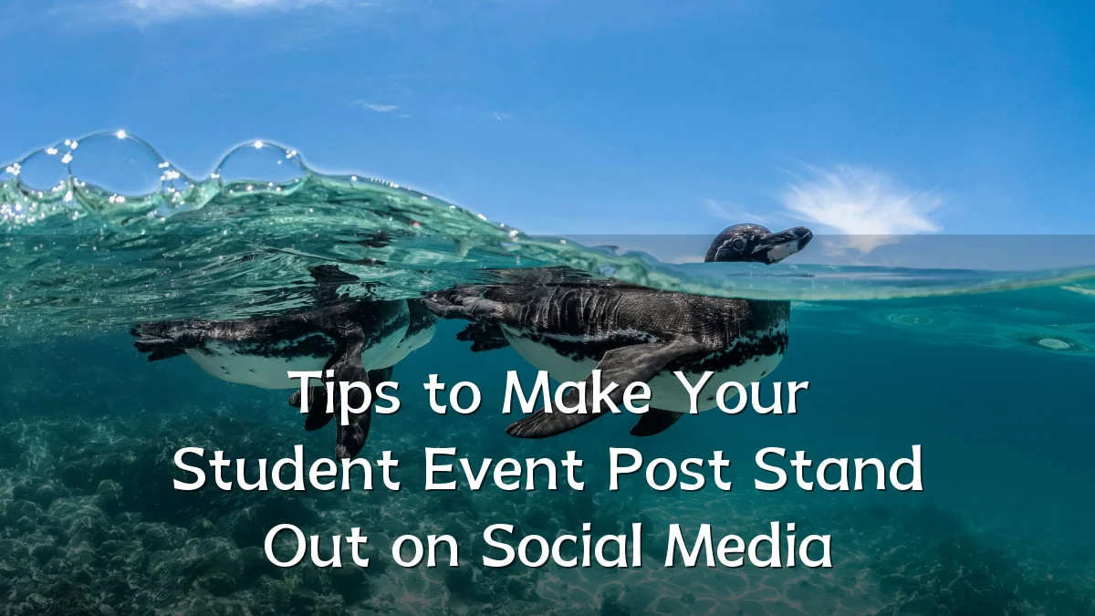 Tips to Make Your Student Event Post Stand Out on Social Media