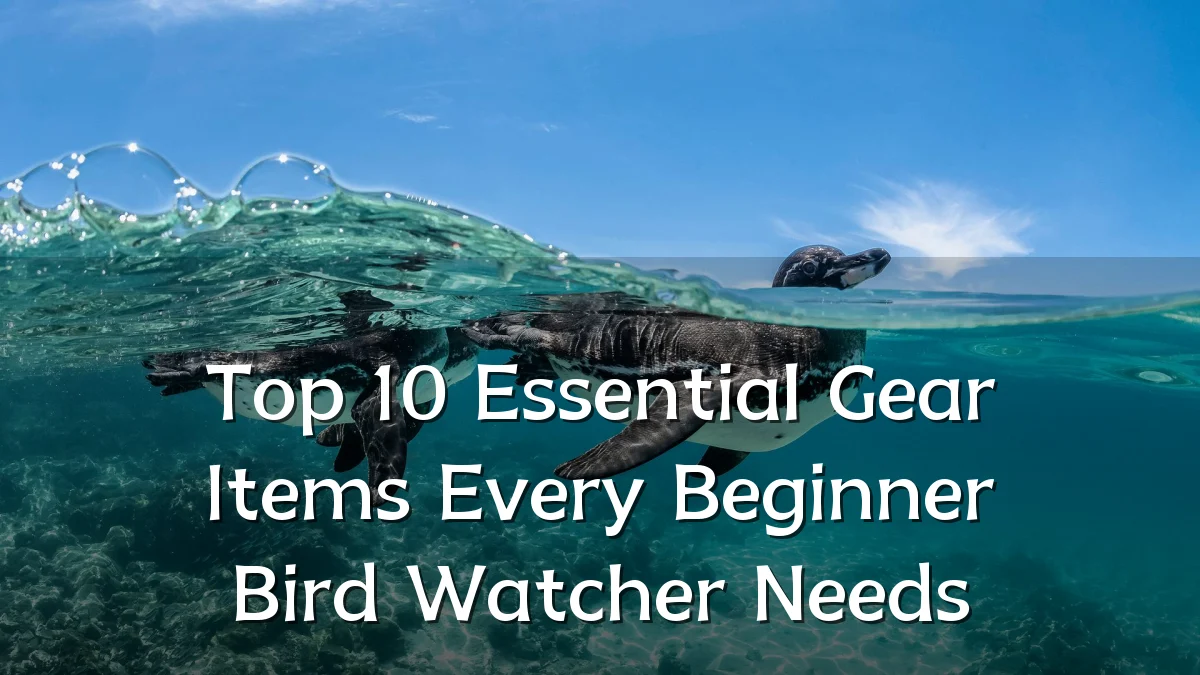 Top 10 Essential Gear Items Every Beginner Bird Watcher Needs