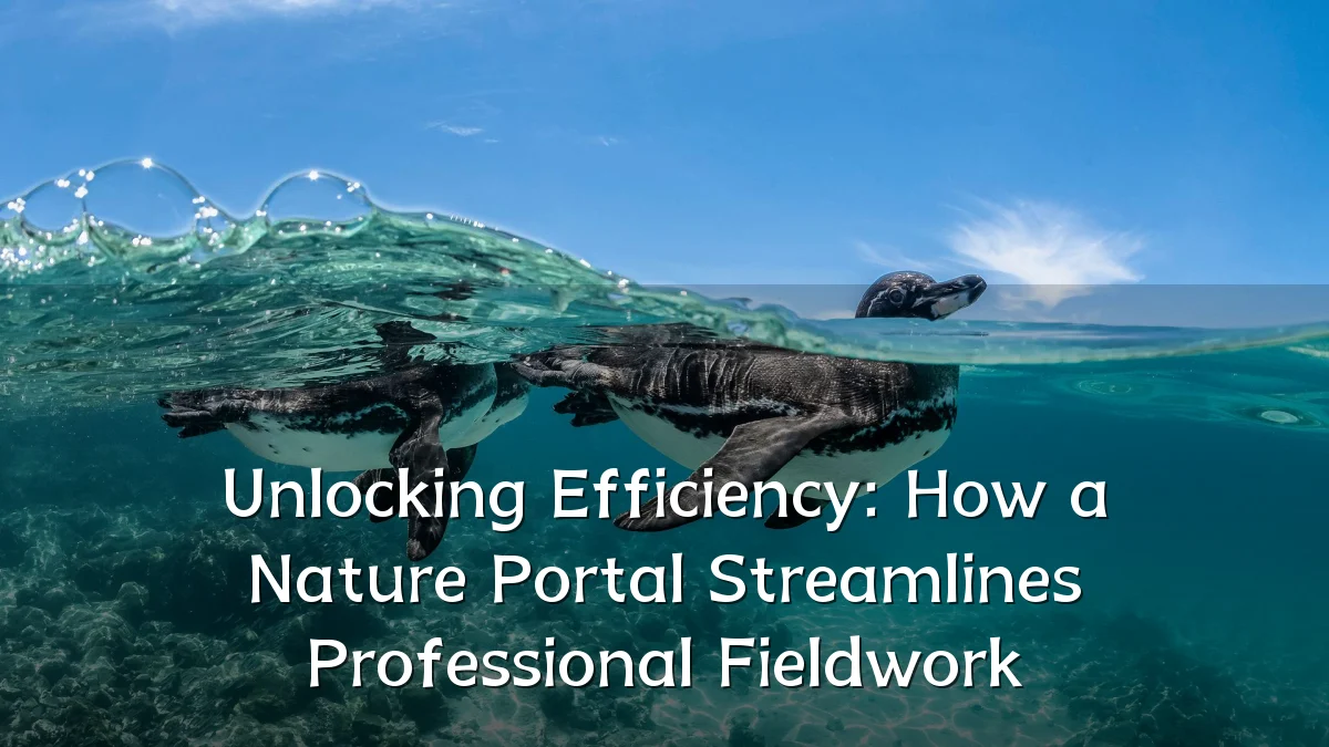 Unlocking Efficiency: How a Nature Portal Streamlines Professional Fieldwork