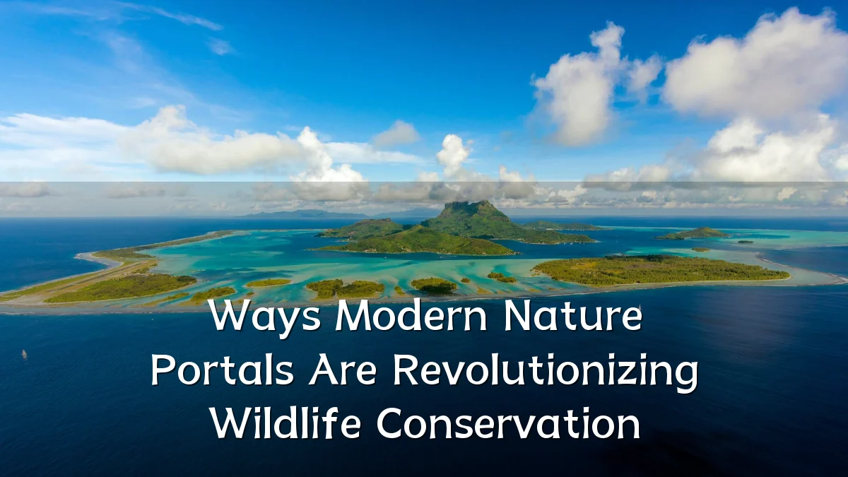 Ways Modern Nature Portals Are Revolutionizing Wildlife Conservation