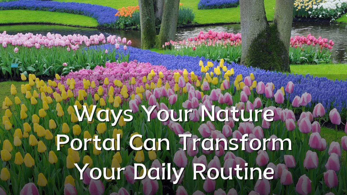 Ways Your Nature Portal Can Transform Your Daily Routine