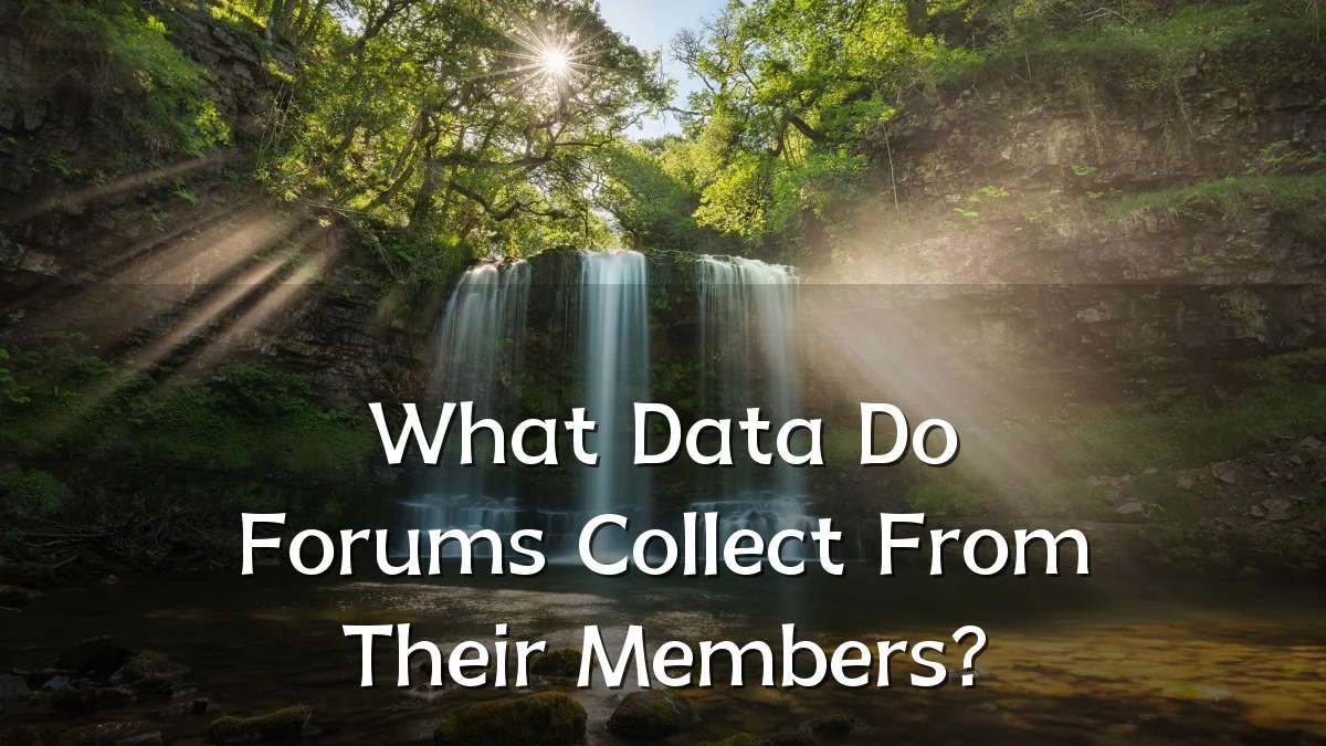 What Data Do Forums Collect From Their Members?