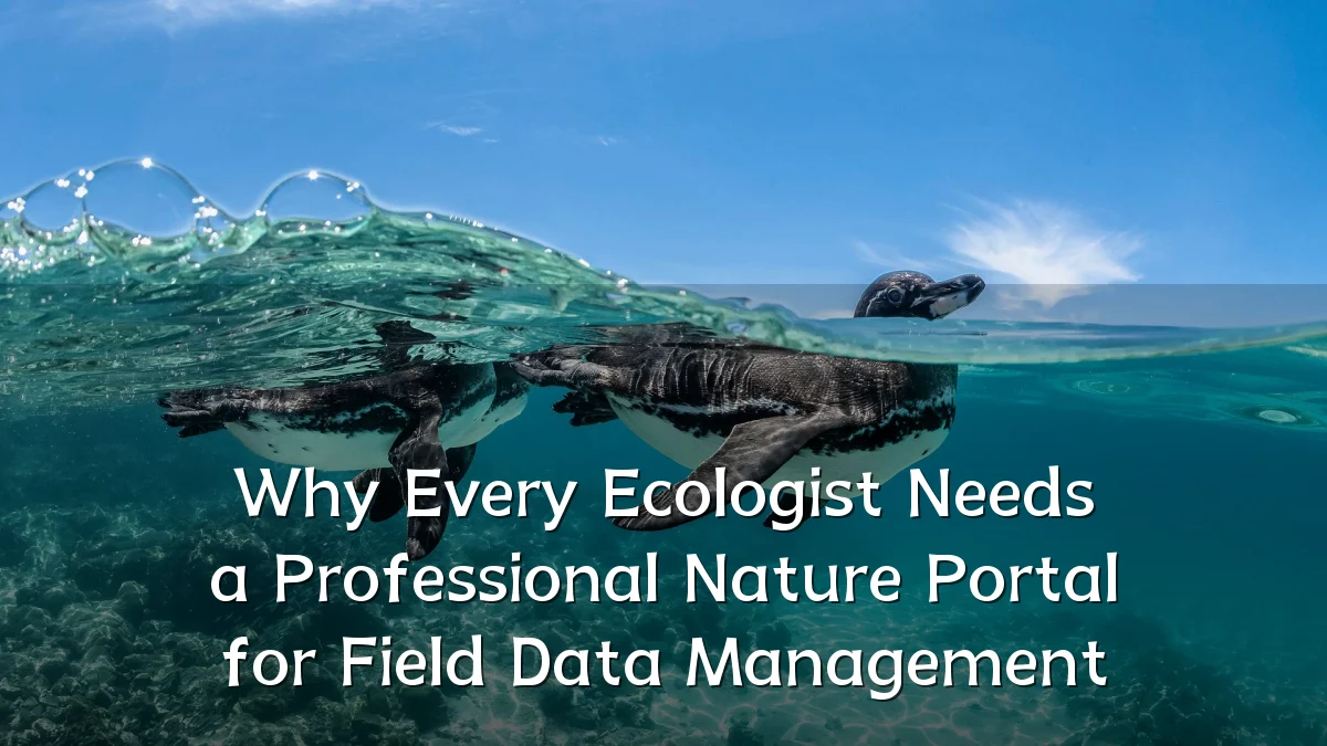 Why Every Ecologist Needs a Professional Nature Portal for Field Data Management