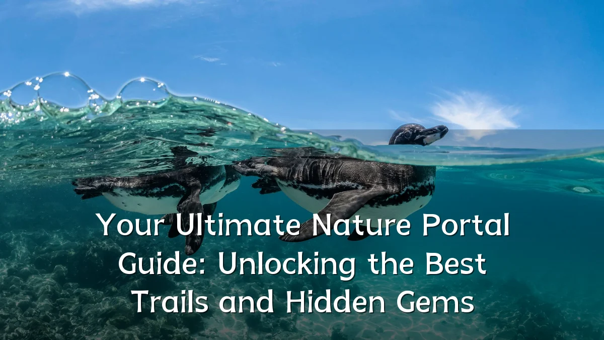 Your Ultimate Nature Portal Guide: Unlocking the Best Trails and Hidden Gems