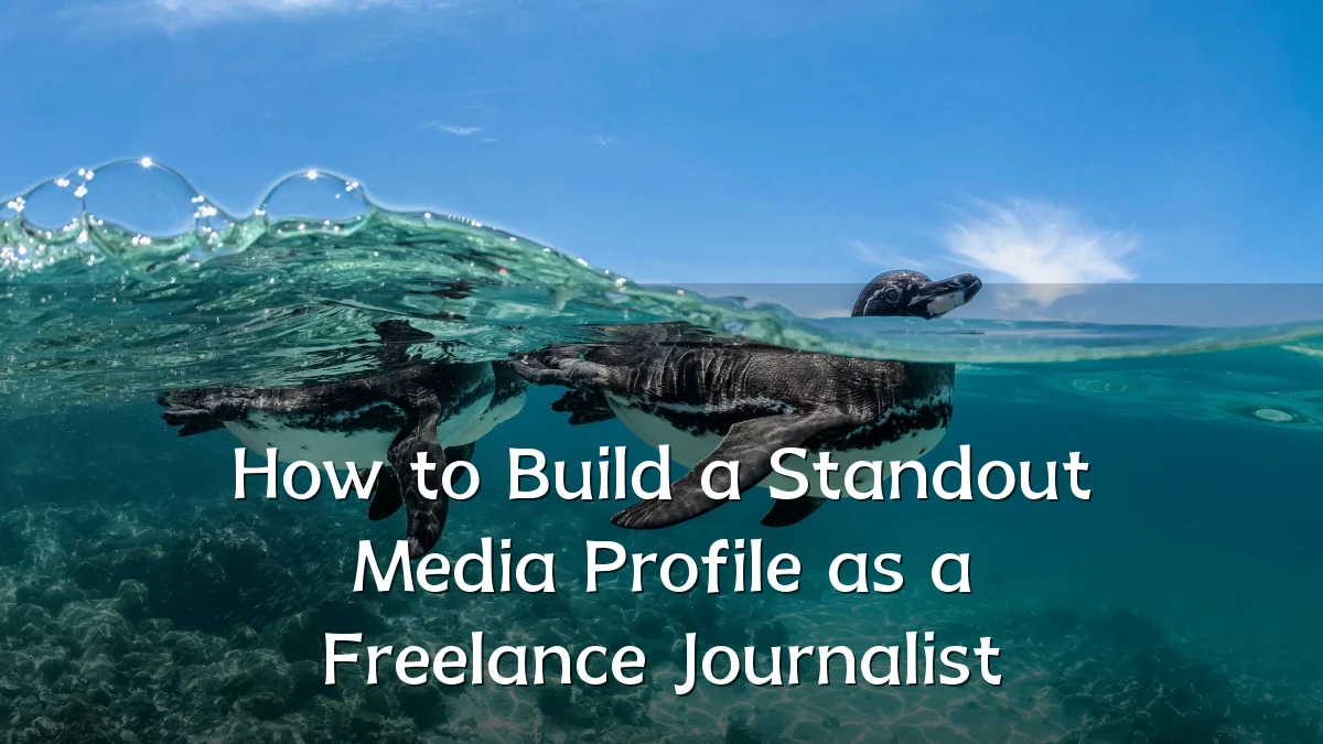 How to Build a Standout Media Profile as a Freelance Journalist
