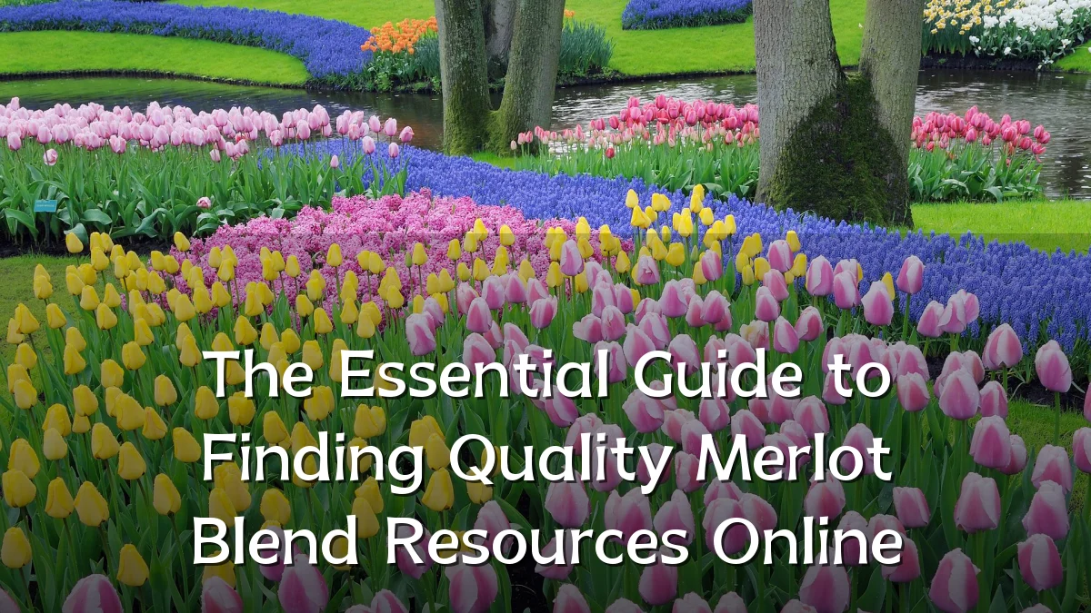 The Essential Guide to Finding Quality Merlot Blend Resources Online