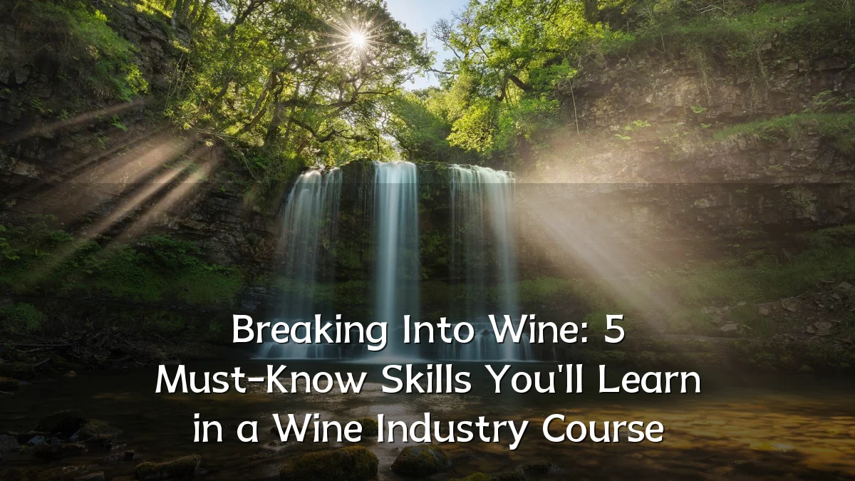Breaking Into Wine: 5 Must-Know Skills You'll Learn in a Wine Industry Course