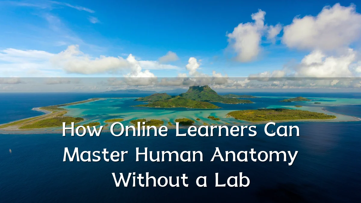 How Online Learners Can Master Human Anatomy Without a Lab