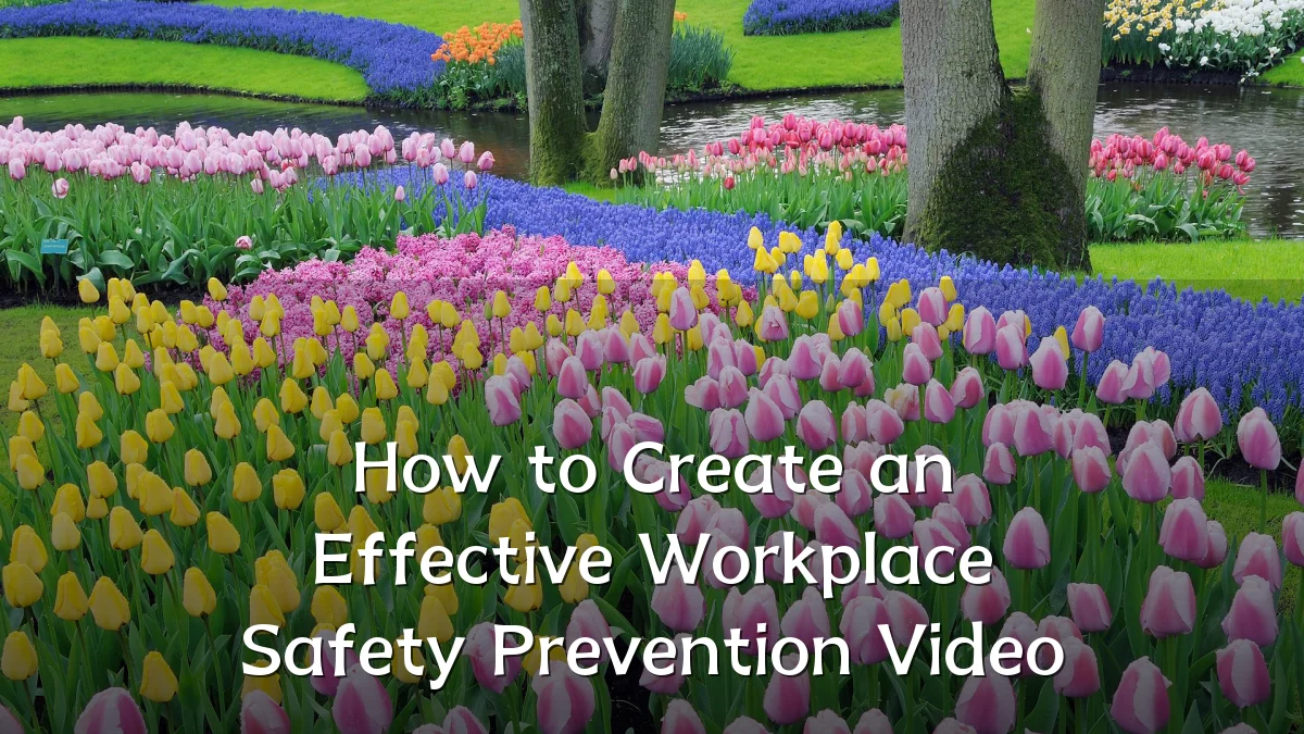 How to Create an Effective Workplace Safety Prevention Video