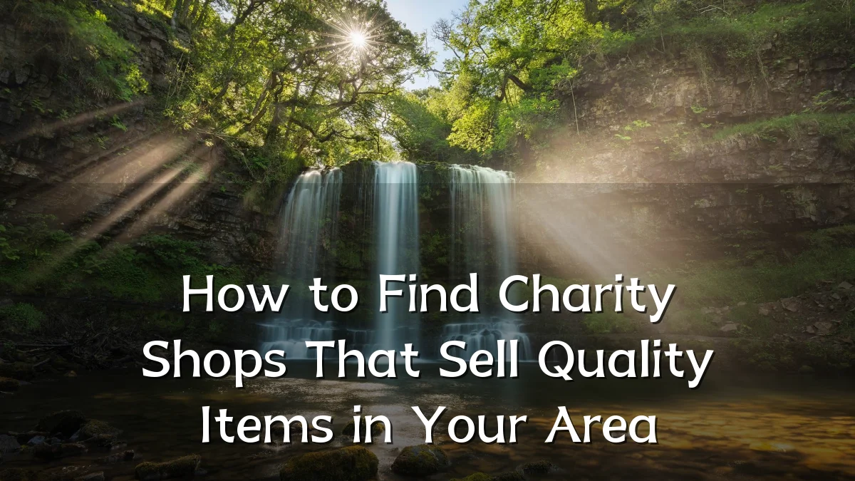 How to Find Charity Shops That Sell Quality Items in Your Area