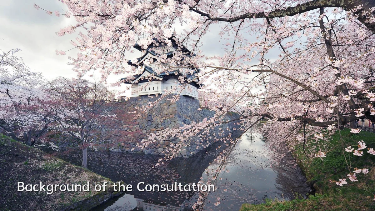 Background of the Consultation