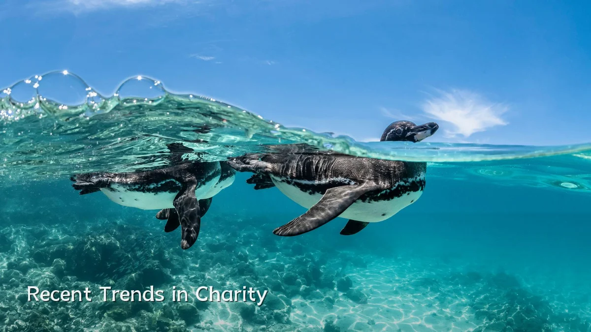 Recent Trends in Charity