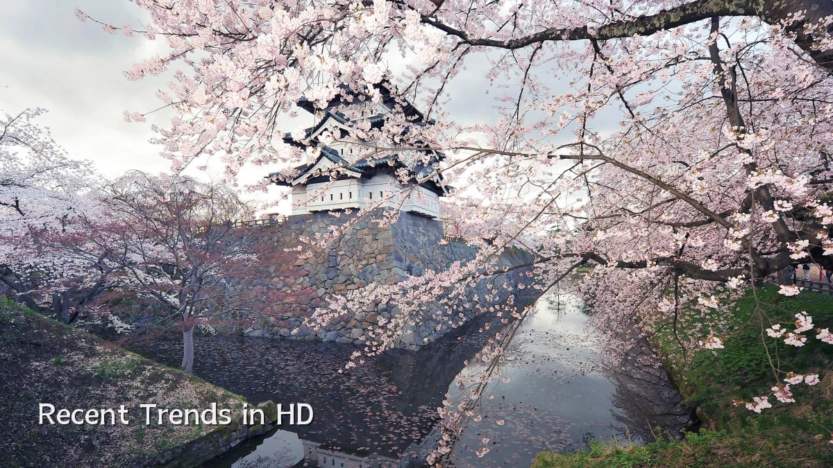 Recent Trends in HD
