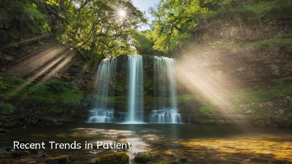 Recent Trends in Patient