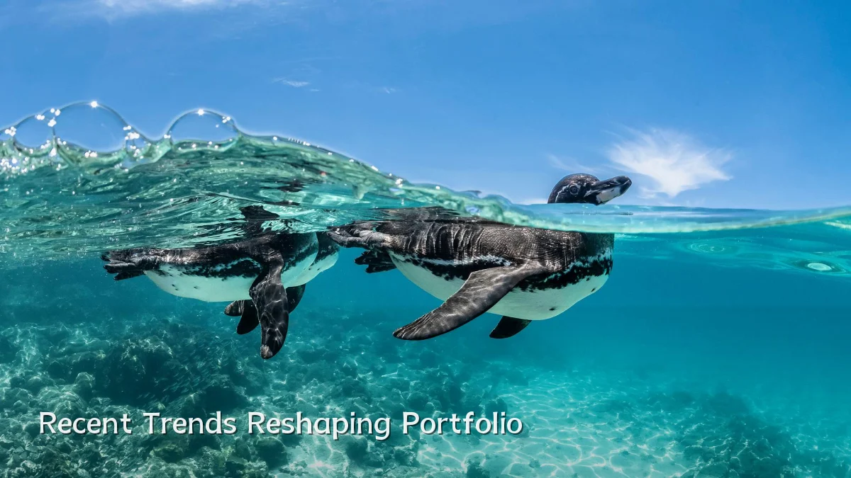 Recent Trends Reshaping Portfolio