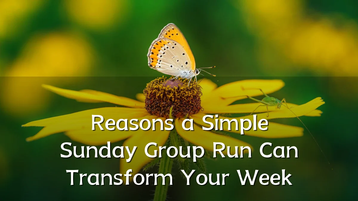 Reasons a Simple Sunday Group Run Can Transform Your Week