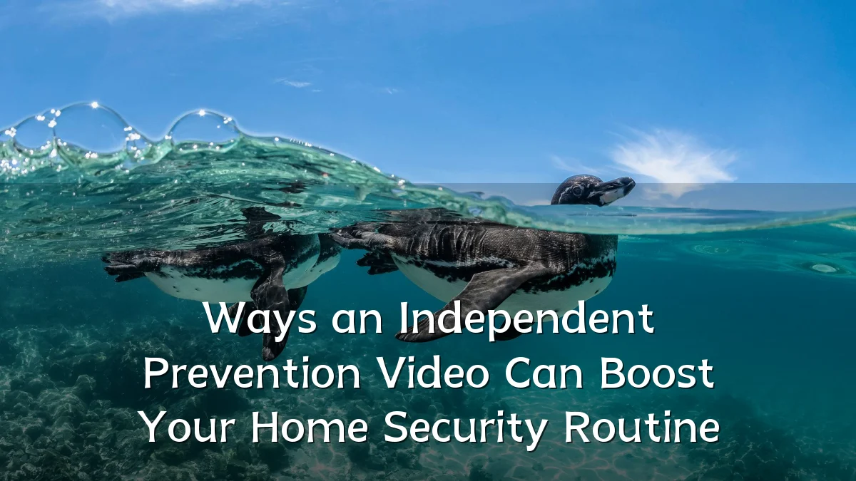 Ways an Independent Prevention Video Can Boost Your Home Security Routine
