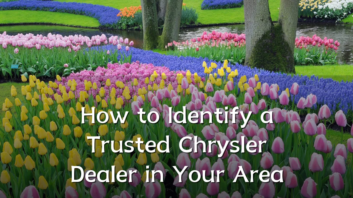 How to Identify a Trusted Chrysler Dealer in Your Area