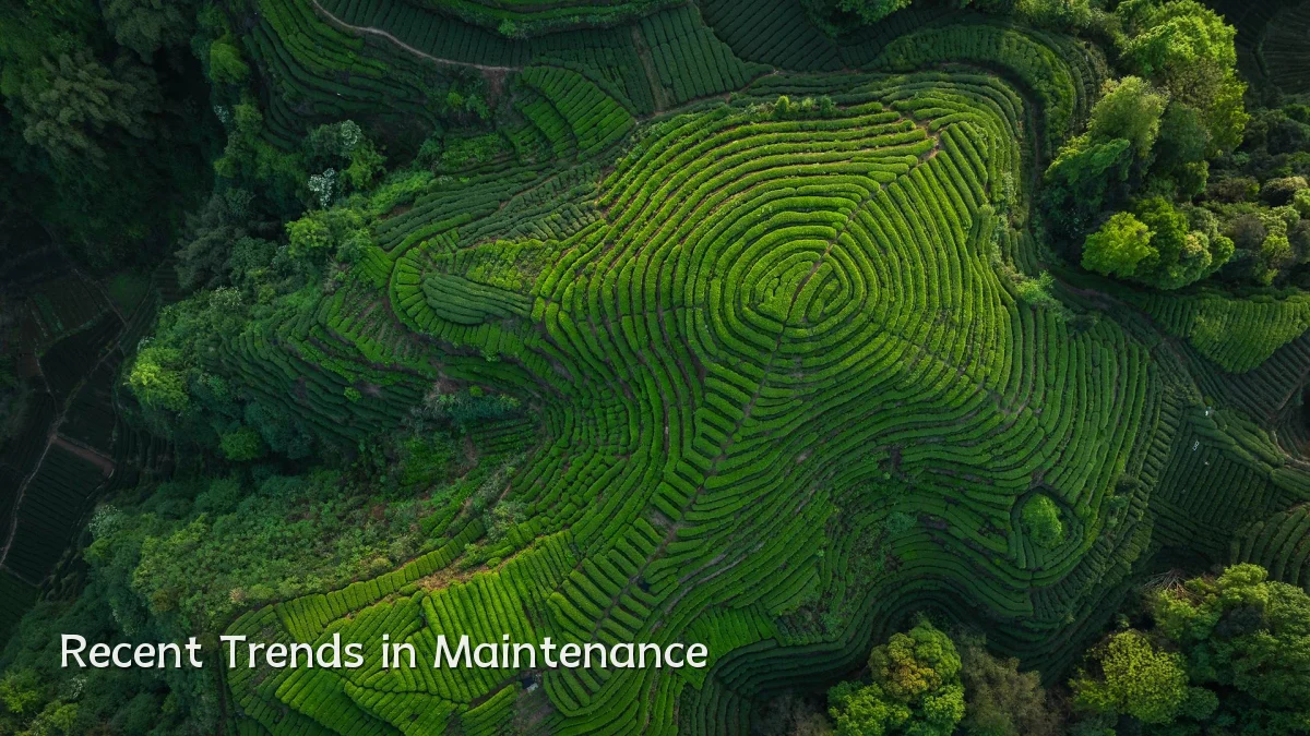 Recent Trends in Maintenance