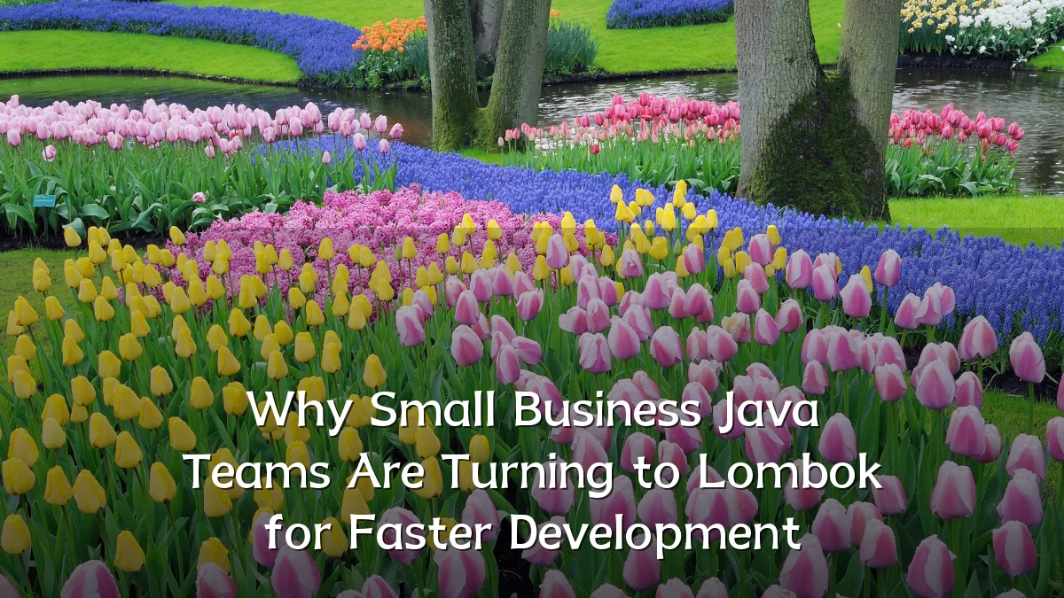 Why Small Business Java Teams Are Turning to Lombok for Faster Development