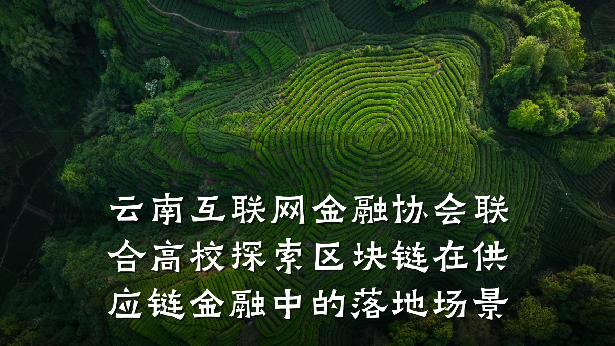 云南互联网金融协会联合高校探索区块链在供应链金融中的落地场景
