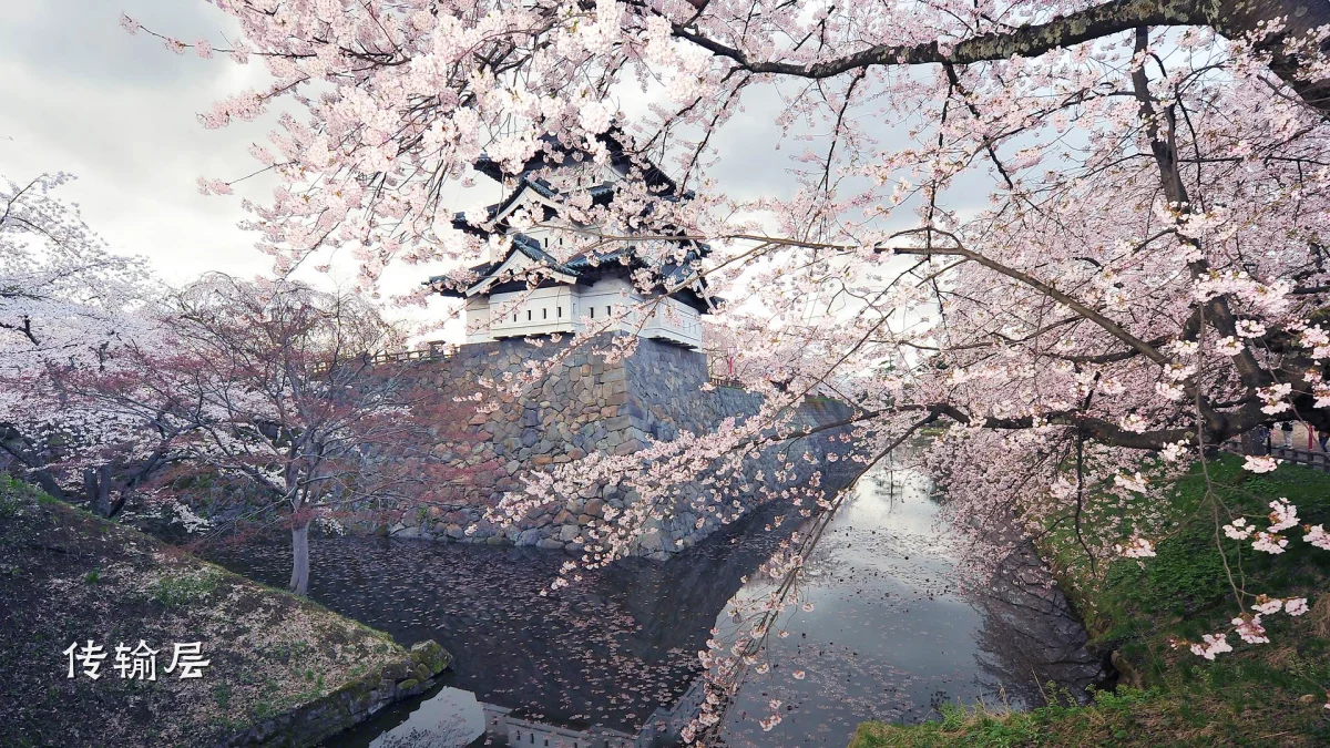 传输层