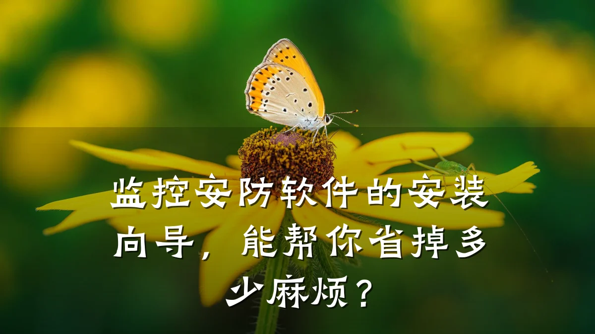 监控安防软件的安装向导,能帮你省掉多少麻烦?