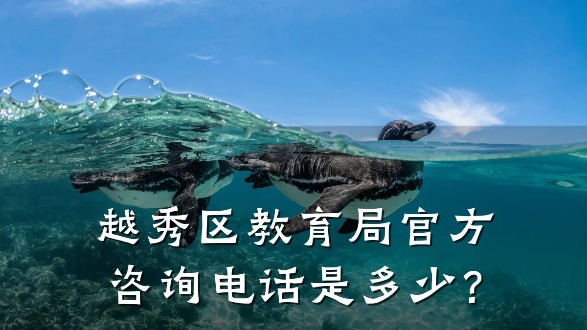 越秀区教育局官方咨询电话是多少?